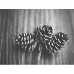 Ergonomic Marble Shoes fr-FR